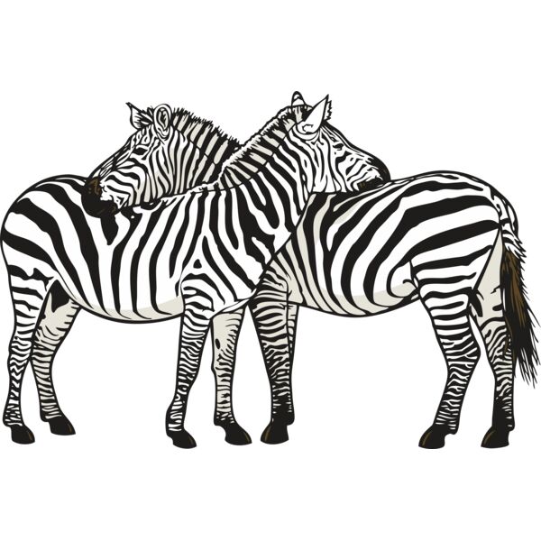 Pair Zebras Thumbnail