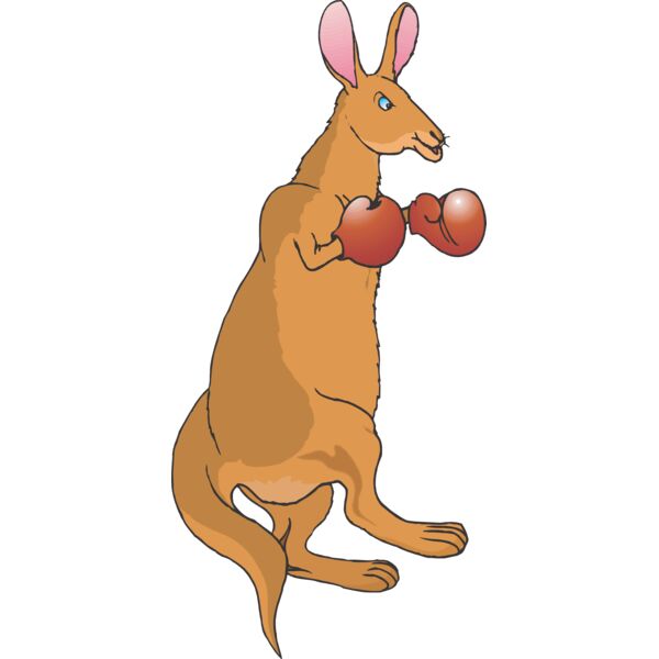 Boxing Kangaroo Thumbnail