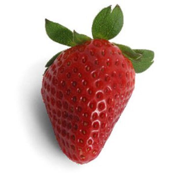 Strawberry  white background  Thumbnail