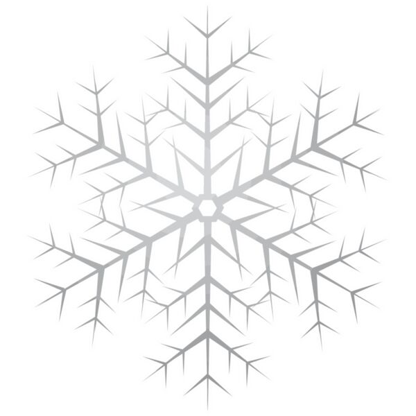 Snowflake grey white Thumbnail